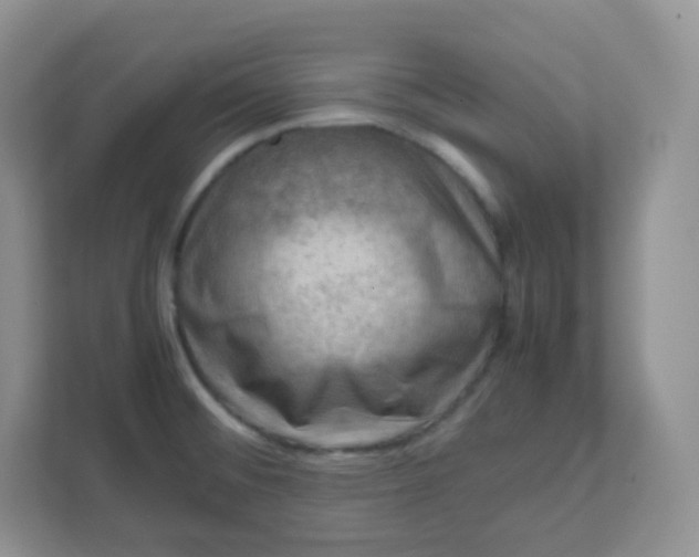 X0000111601476200907301436
