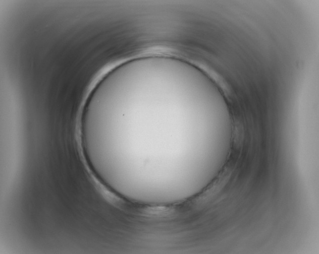 X0000111601478200907301436