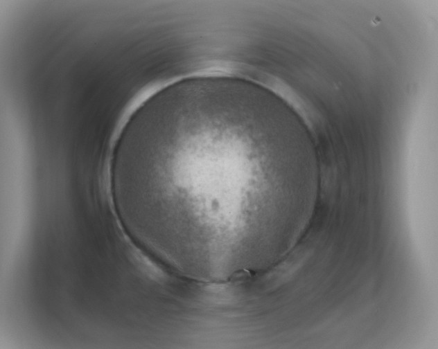 X0000111601480200907301436