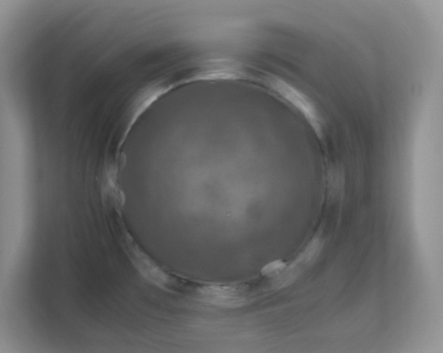 X0000111601481200907301436