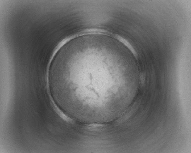 X0000111601482200907301436