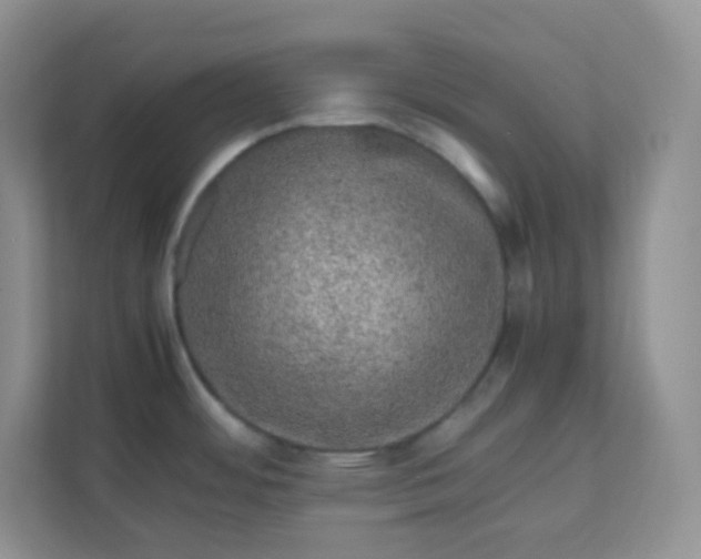 X0000111601484200907301436