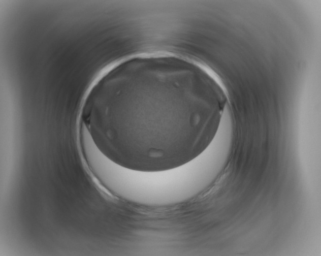 X0000111601485200907301436