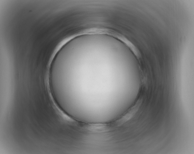 X0000111601486200907301436
