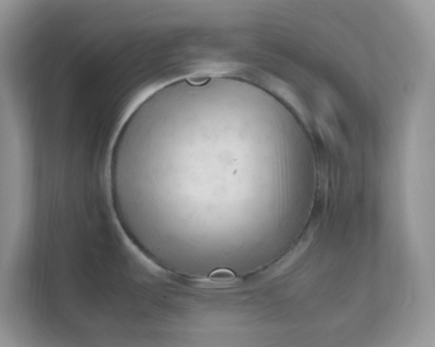 X0000111601487200907301436