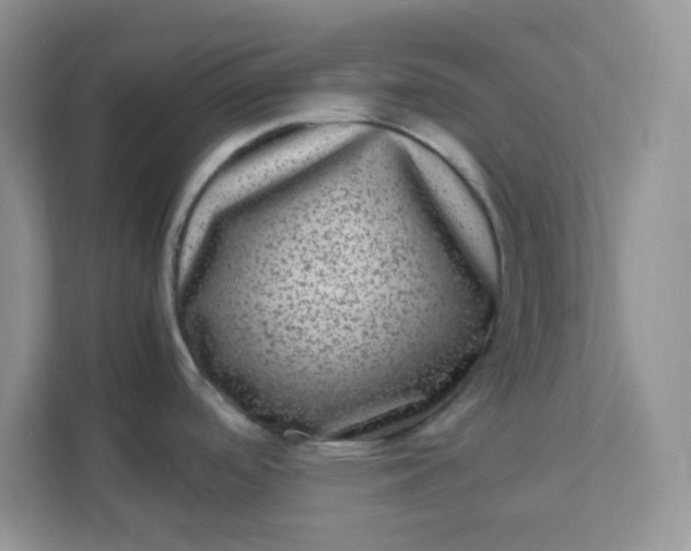 X0000111601488200907301436