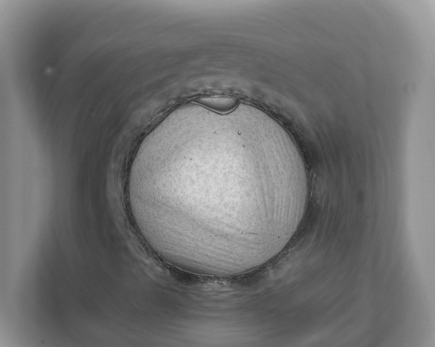 X0000111601489200907301436