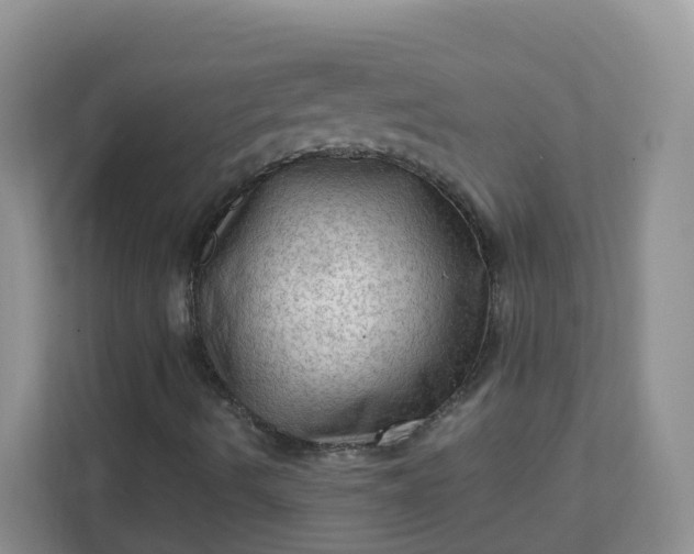 X0000111601490200907301436