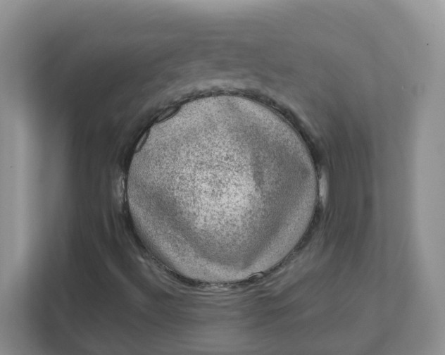 X0000111601492200907301436