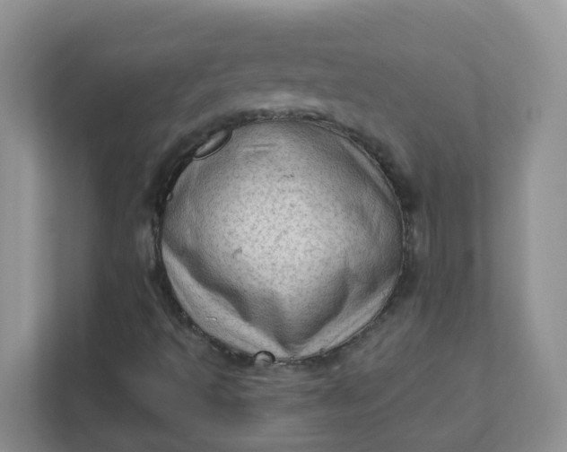 X0000111601493200907301436