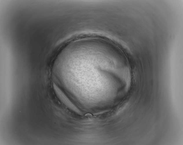 X0000111601494200907301436