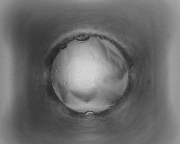X0000111601495200907301436