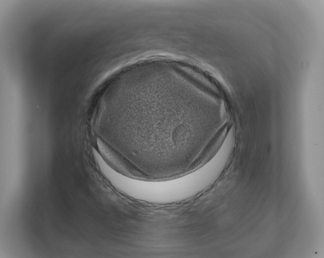 X0000111601496200907301436