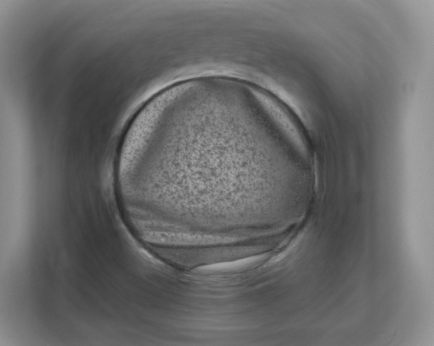 X0000111601500200907301436