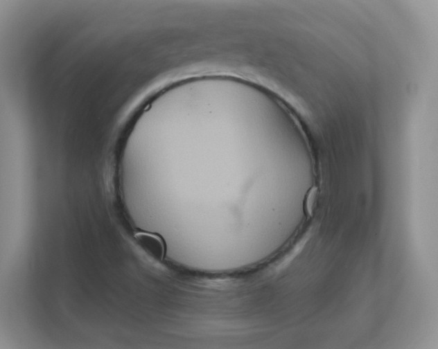 X0000111601502200907301436