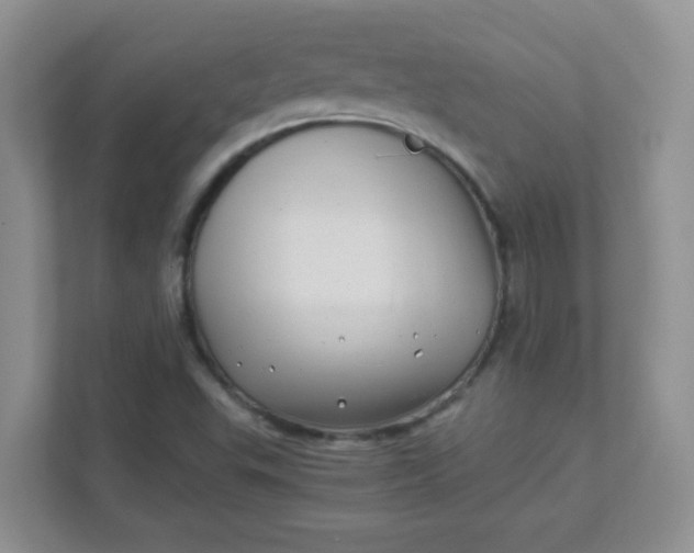 X0000111601503200907301436