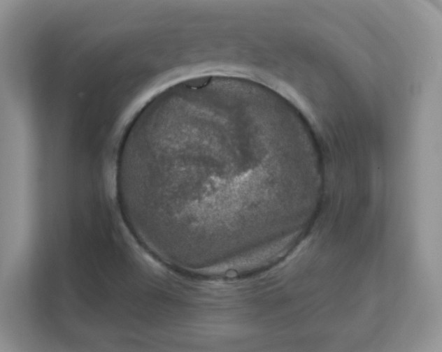 X0000111601504200907301436