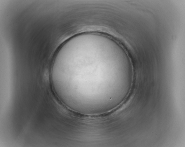 X0000111601505200907301436