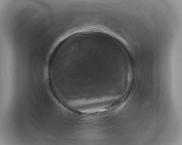 X0000111601506200907301436
