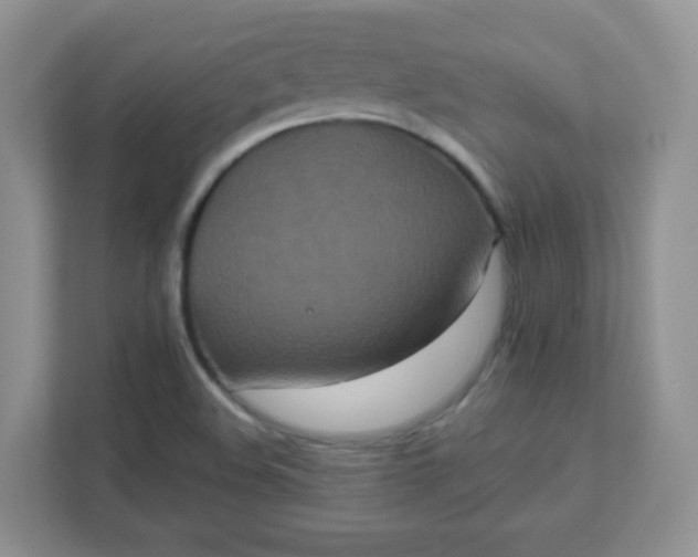 X0000111601508200907301436