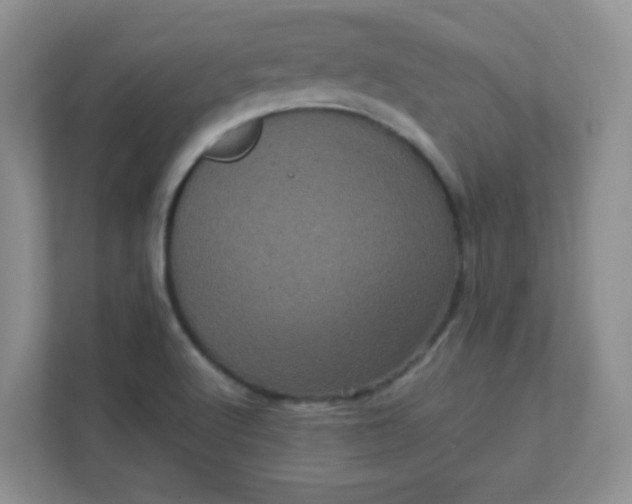 X0000111601512200907301436