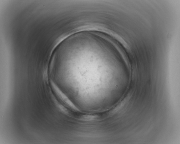 X0000111601513200907301436