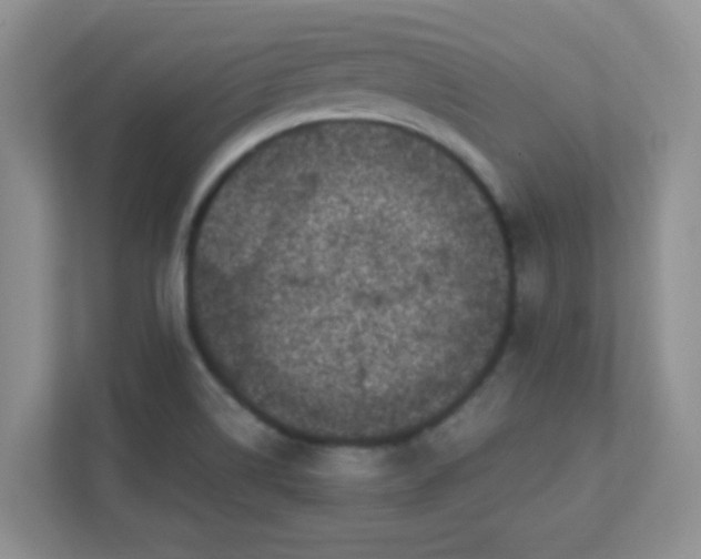 X0000111601514200907301436