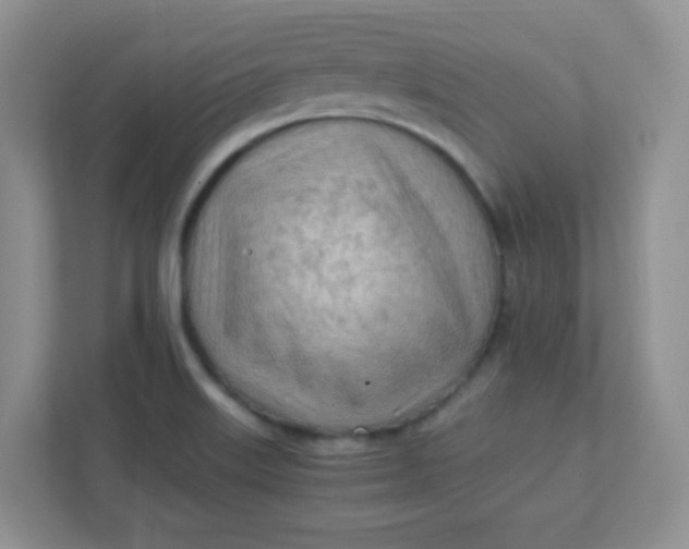 X0000111601515200907301436