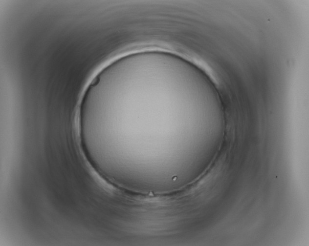 X0000111601516200907301436