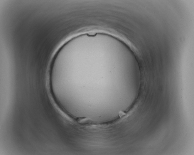 X0000111601518200907301436