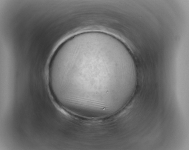 X0000111601519200907301436