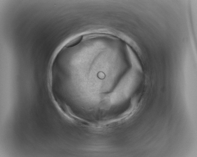 X0000111601520200907301436