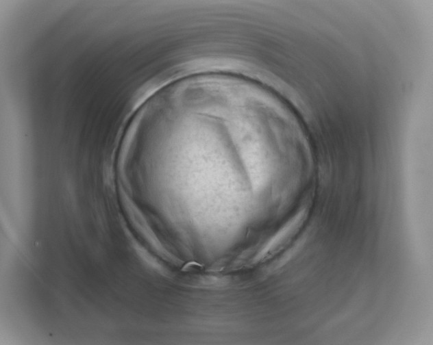 X0000111601521200907301436