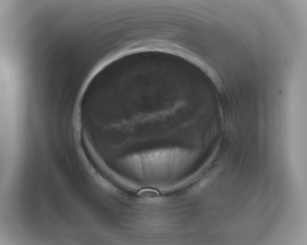 X0000111601522200907301436
