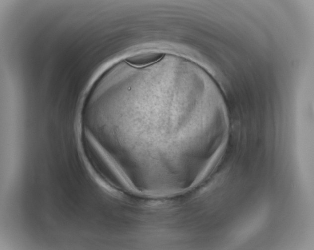 X0000111601523200907301436