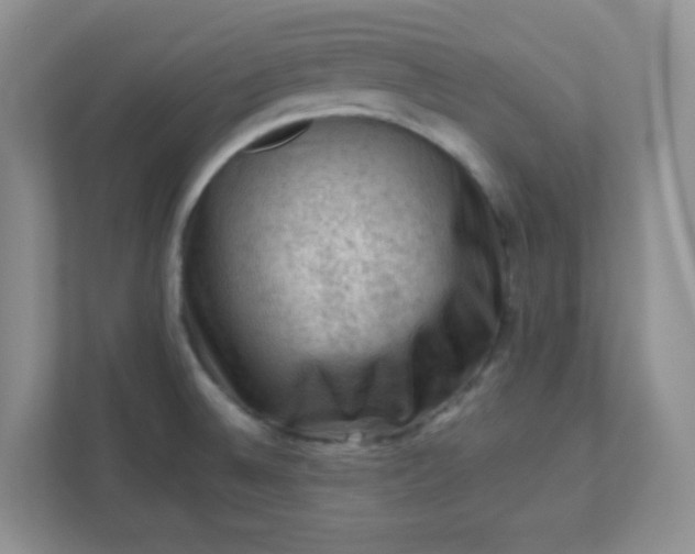 X0000111601524200907301436