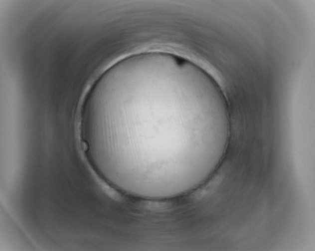 X0000111601525200907301436