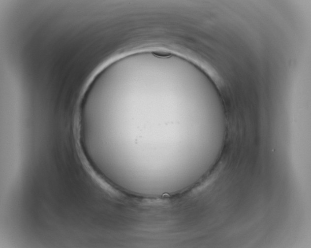 X0000111601526200907301436