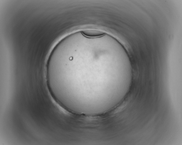 X0000111601527200907301436