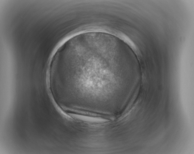 X0000111601528200907301436