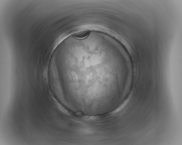 X0000111601529200907301436