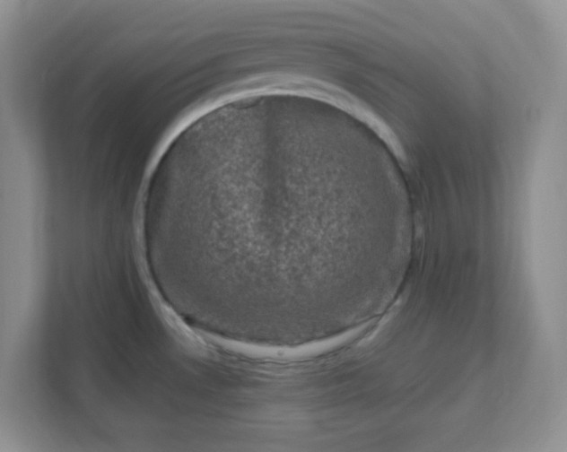 X0000111601530200907301436