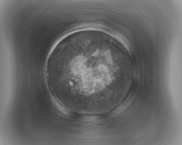 X0000111601532200907301436