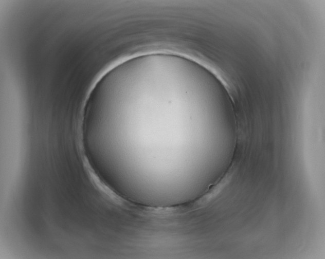 X0000111601534200907301436