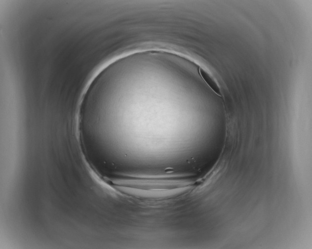 X0000111601535200907301436