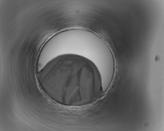 X0000111600001200908061425