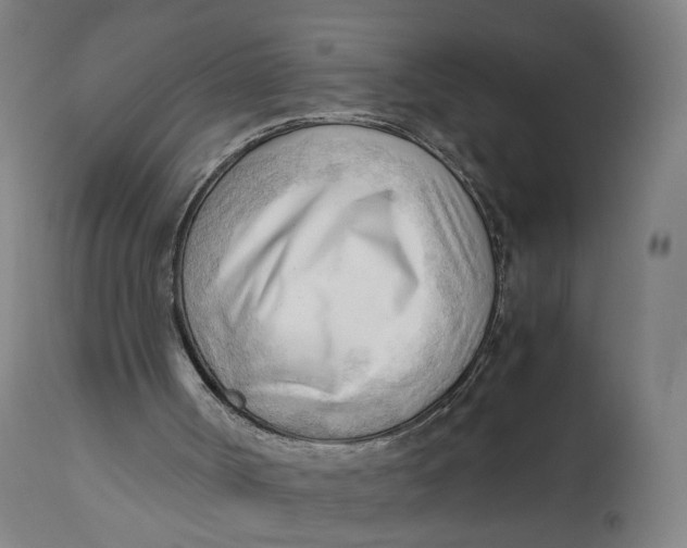 X0000111600002200908061425
