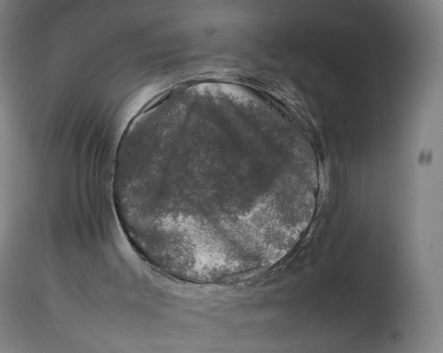 X0000111600003200908061425