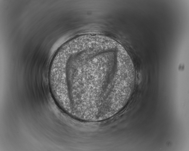 X0000111600004200908061425
