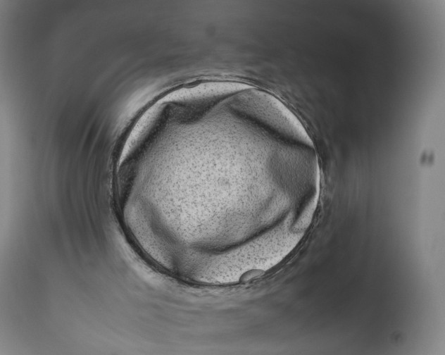 X0000111600005200908061425